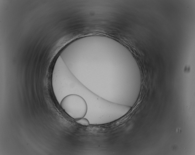 X0000090920242200708271030