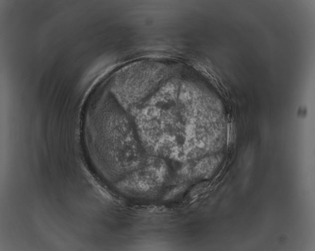 X0000090920243200708271030