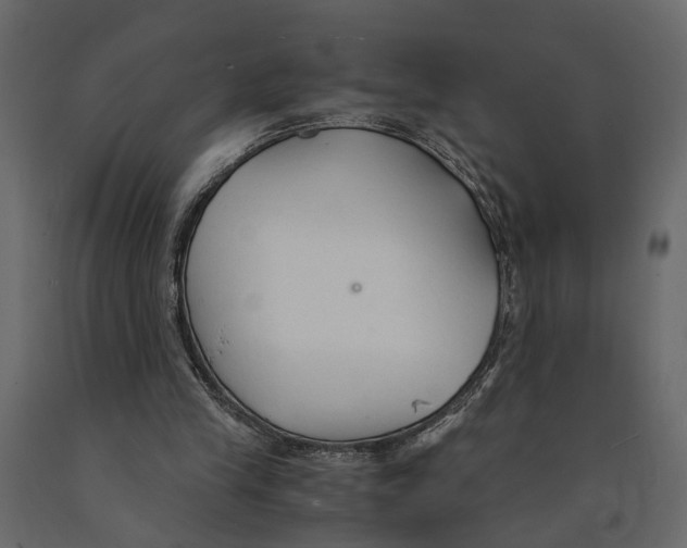 X0000090920245200708271030