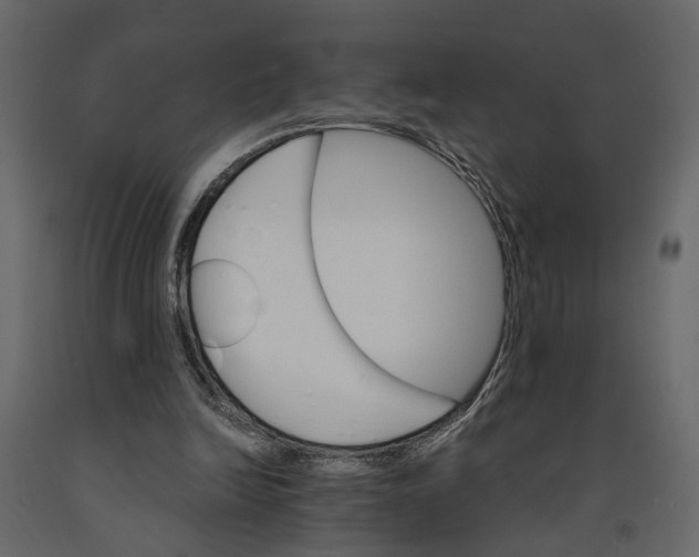 X0000090920246200708271030