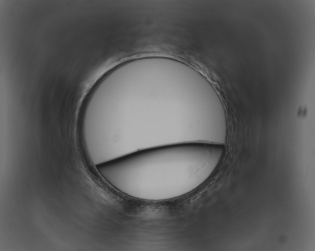 X0000090920248200708271030