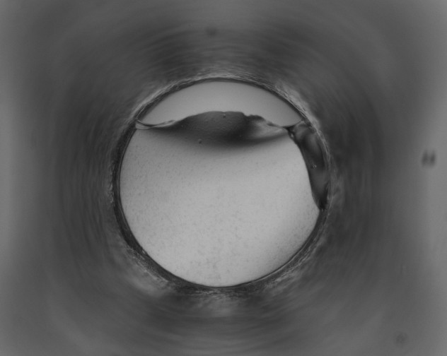 X0000090920249200708271030