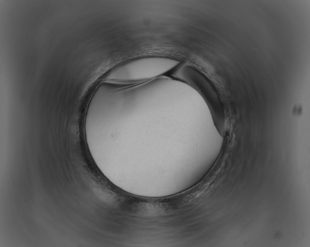 X0000090920250200708271030