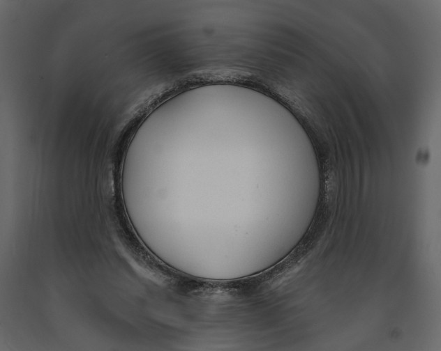 X0000090920254200708271030