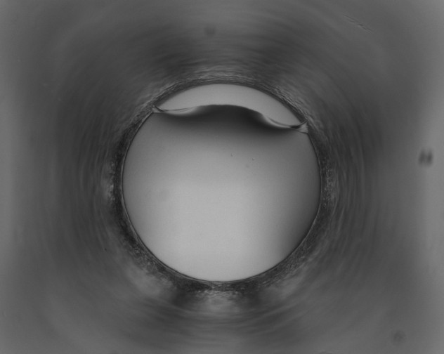 X0000090920255200708271030