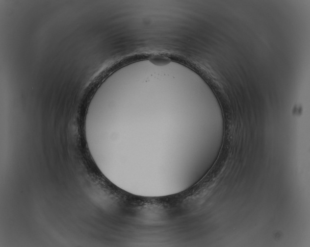 X0000090920256200708271030