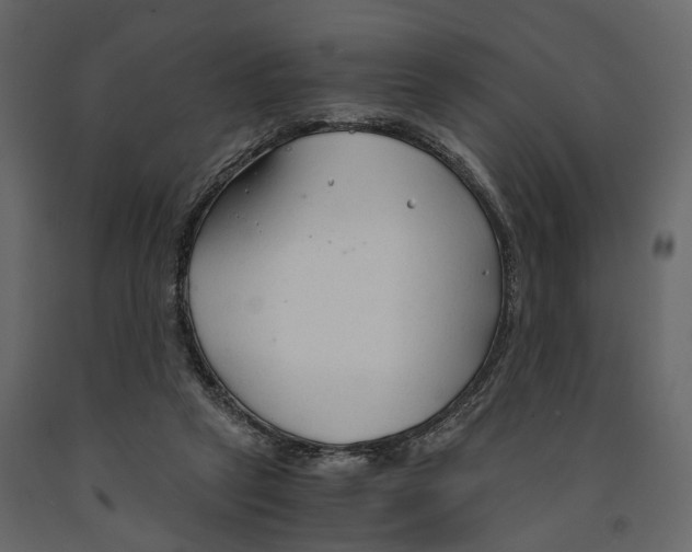 X0000090920257200708271030