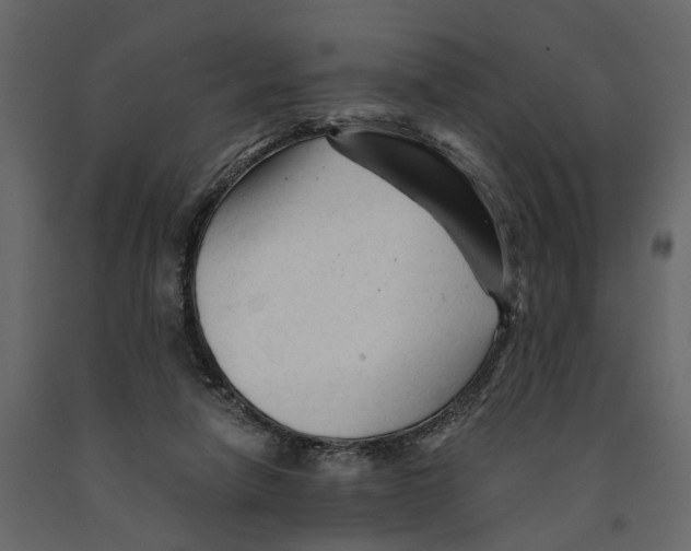 X0000090920258200708271030