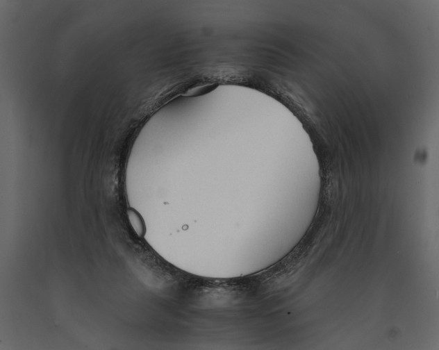 X0000090920259200708271030