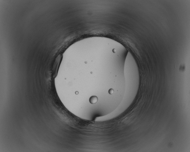 X0000090920260200708271030