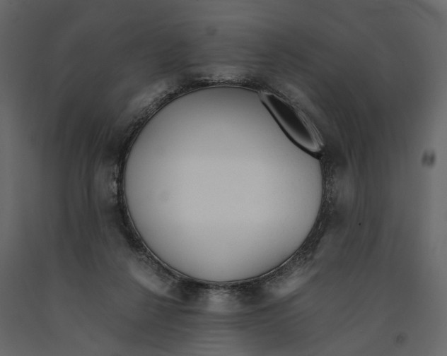 X0000090920264200708271030