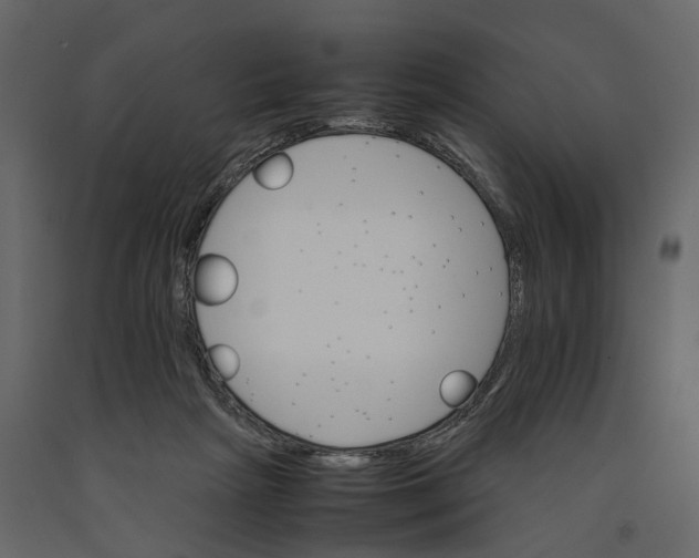 X0000090920265200708271030