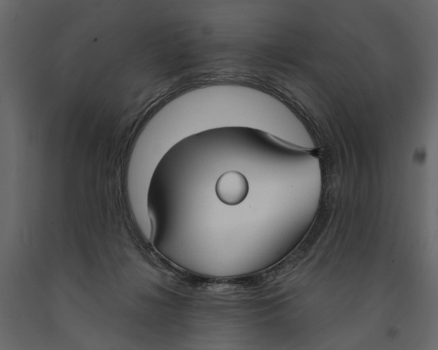 X0000090920268200708271030