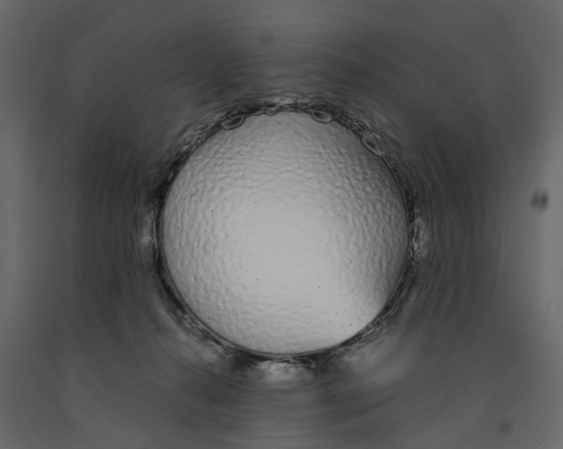 X0000090920272200708271030