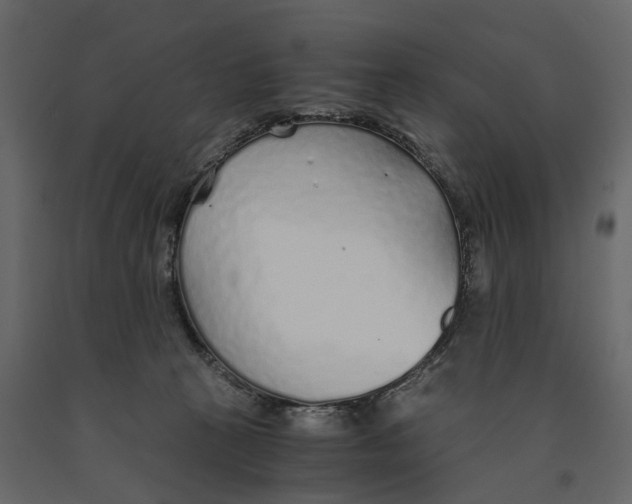 X0000090920273200708271030