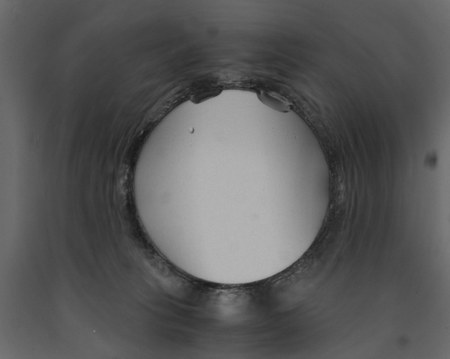 X0000090920275200708271030