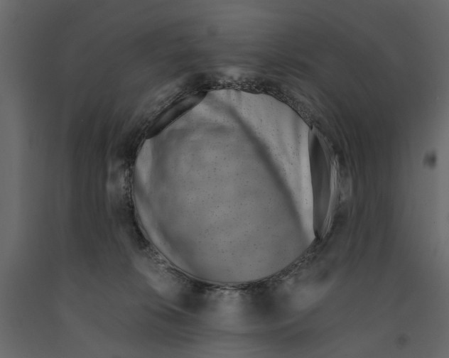 X0000090920276200708271030