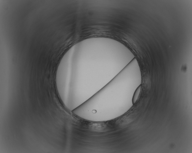 X0000090920277200708271030