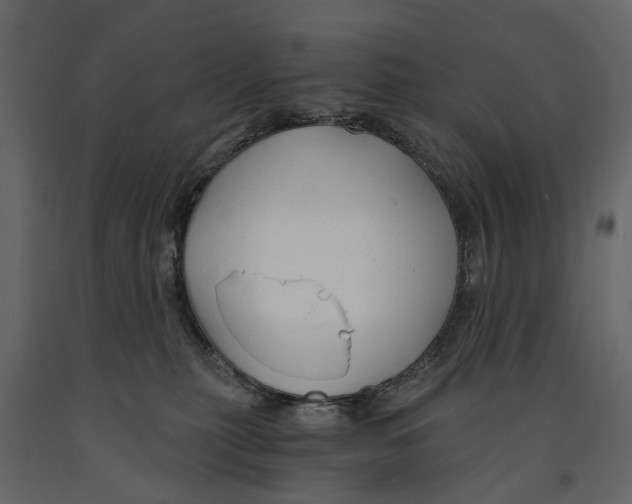 X0000090920279200708271030