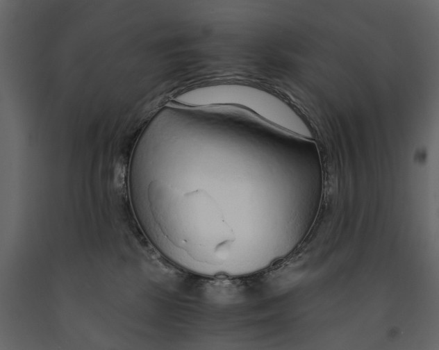 X0000090920281200708271030