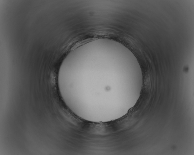 X0000090920282200708271030