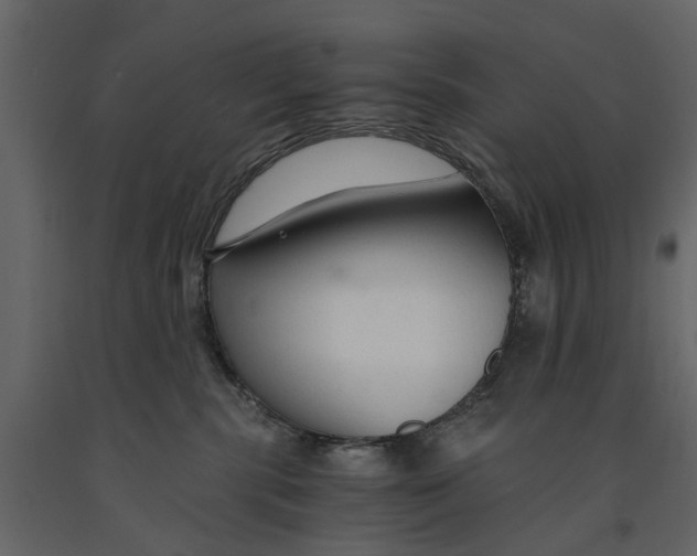 X0000090920283200708271030