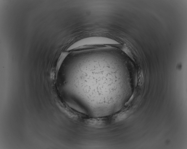 X0000090920284200708271030