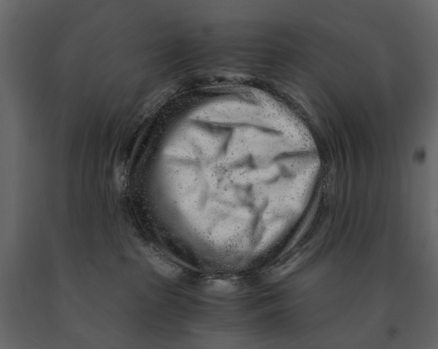 X0000090920285200708271030