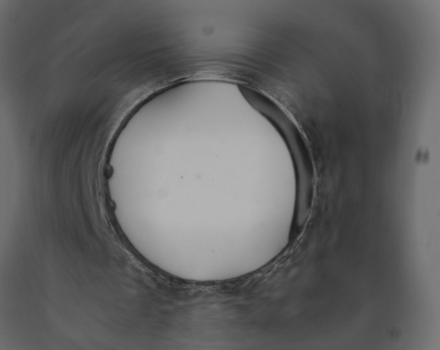 X0000090920289200708271030