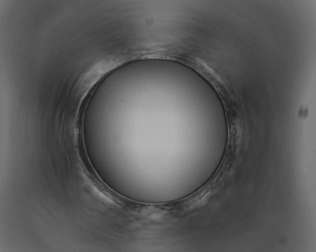 X0000090920290200708271030