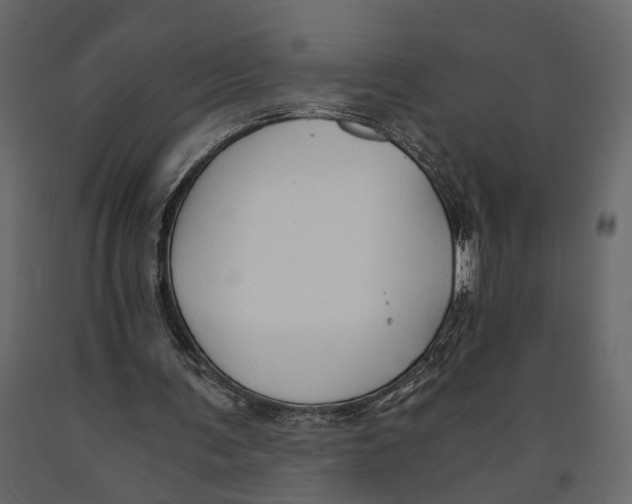 X0000090920291200708271030