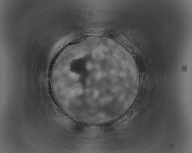 X0000090920293200708271030