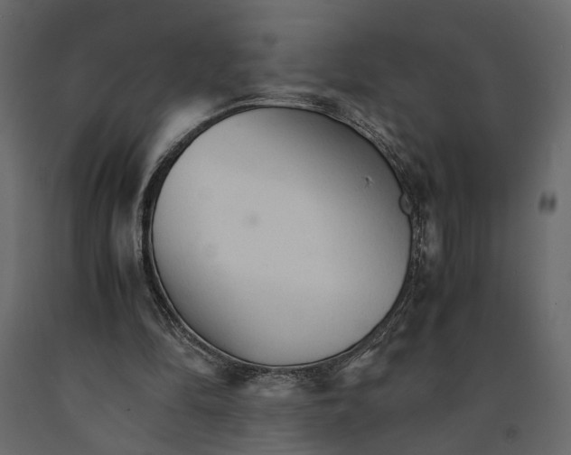 X0000090920294200708271030