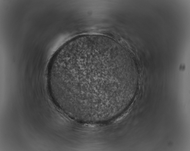 X0000090920295200708271030