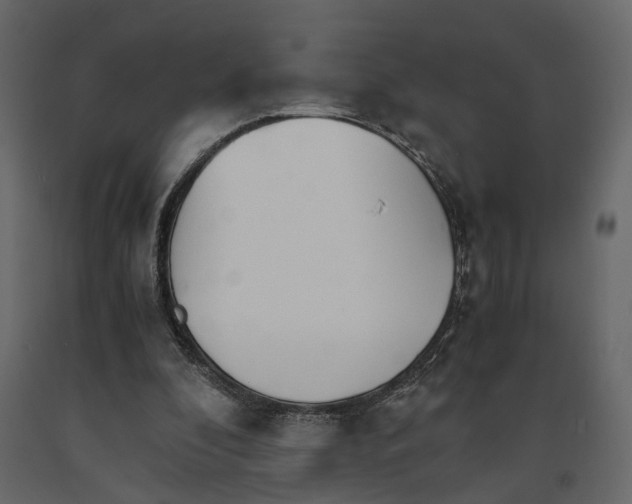 X0000090920296200708271030