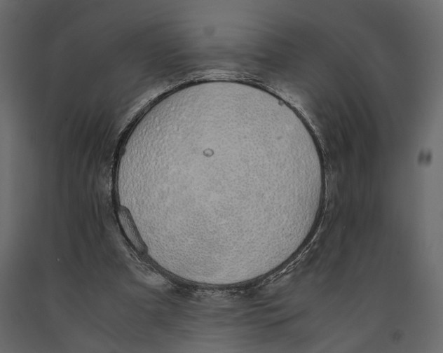 X0000090920297200708271030