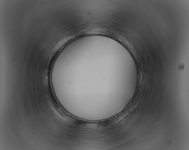 X0000090920298200708271030