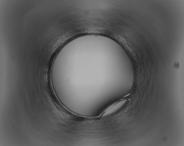 X0000090920299200708271030