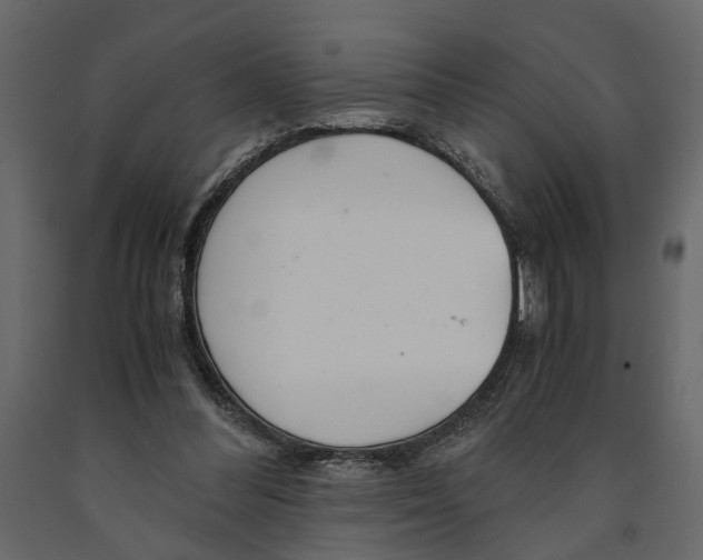 X0000090920300200708271030