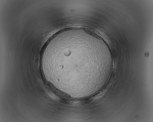 X0000090920301200708271030