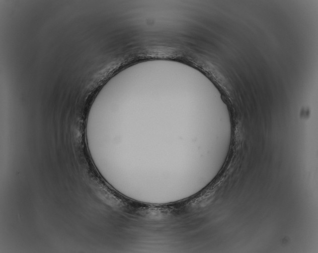 X0000090920305200708271030