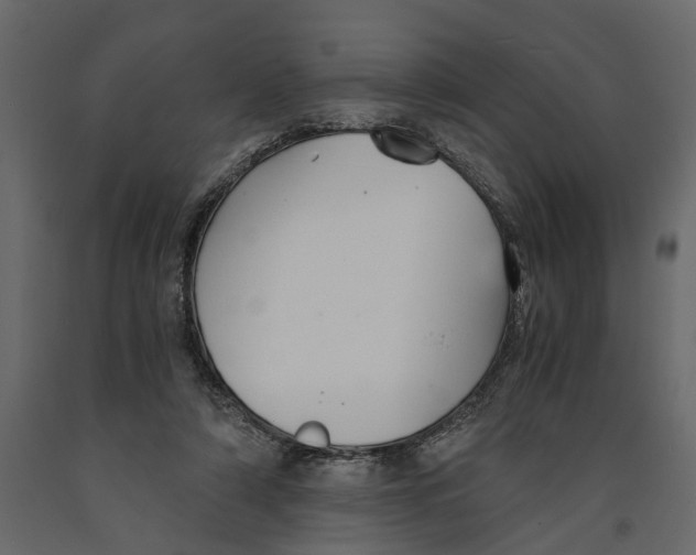 X0000090920306200708271030