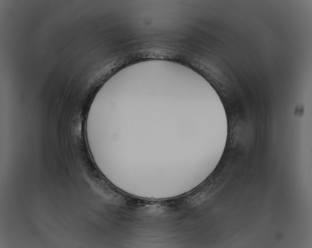 X0000090920310200708271030