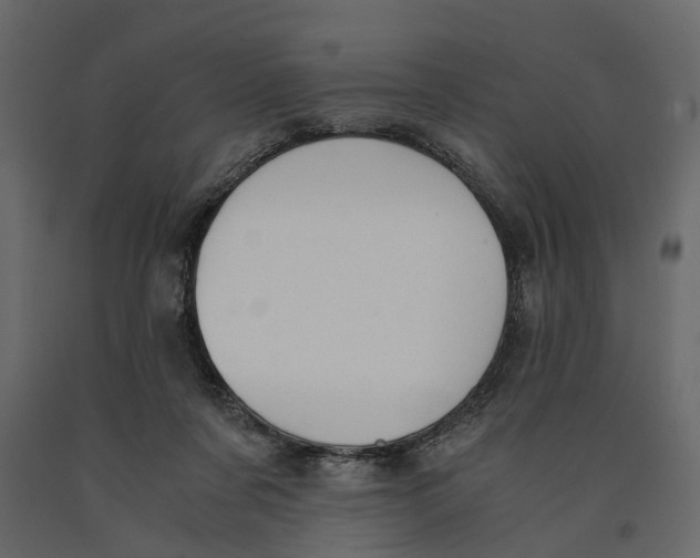 X0000090920311200708271030