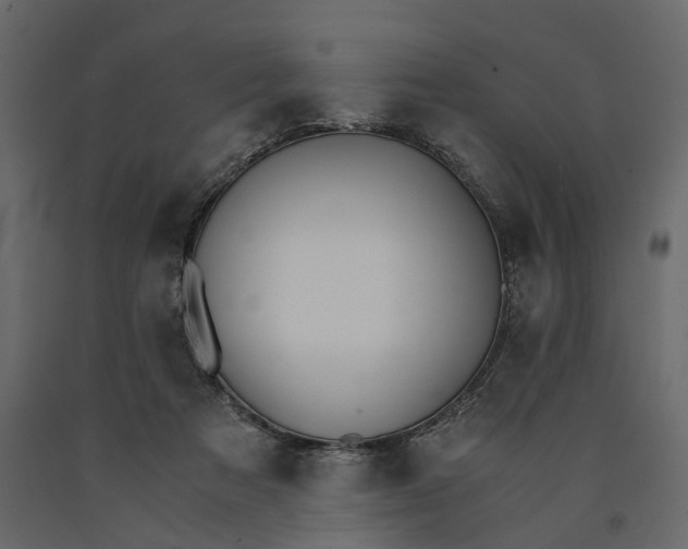 X0000090920313200708271029