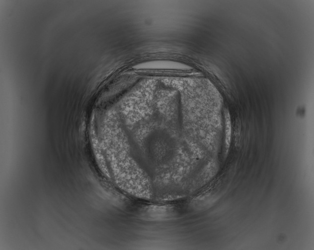 X0000090920314200708271029