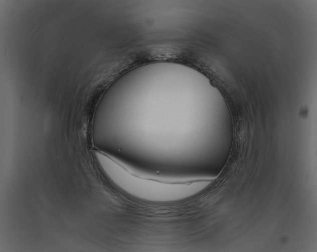 X0000090920315200708271029