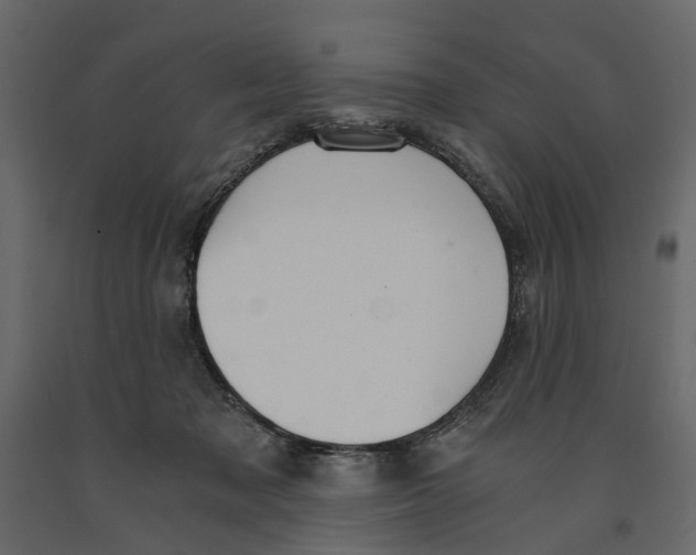 X0000090920317200708271029