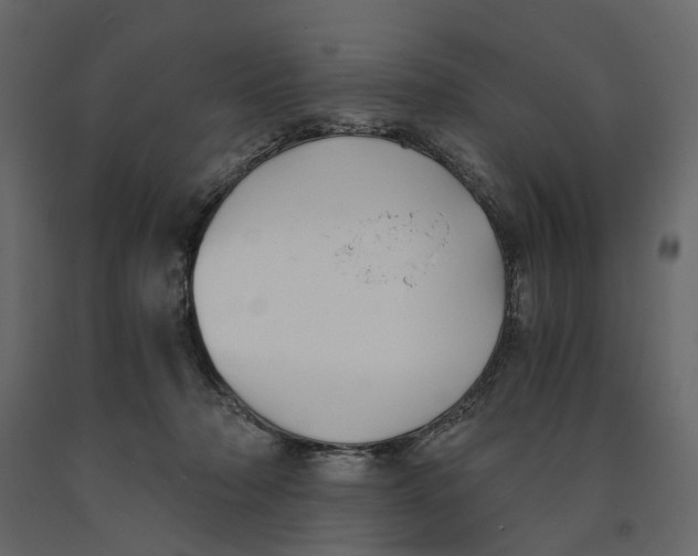 X0000090920318200708271029