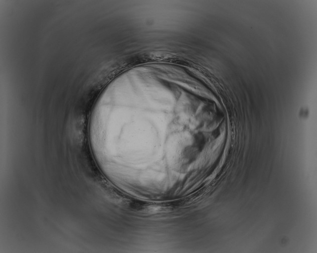 X0000090920319200708271029